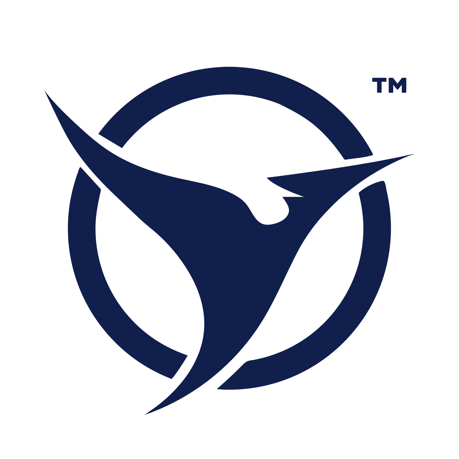 Jetvoy Token
