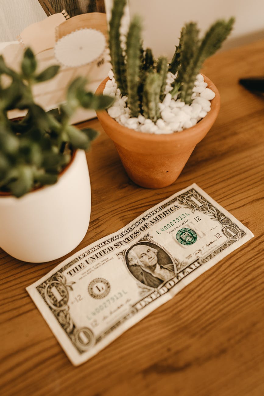 How I Retired at 35: My Journey to Financial Freedom